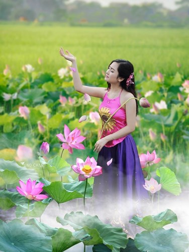 Ảnh[-]đẹp[-]thiếu[-]nữ[-]khoe[-]sắc[-]bên[-]hoa[-]sen[-]